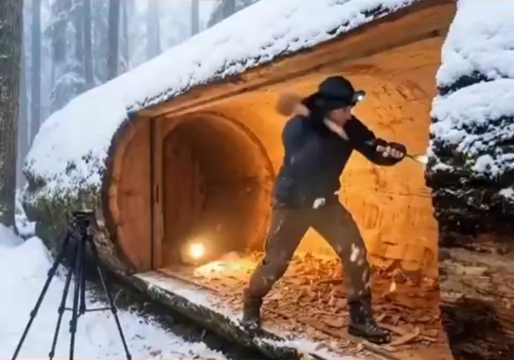 Chickenwing tweet media