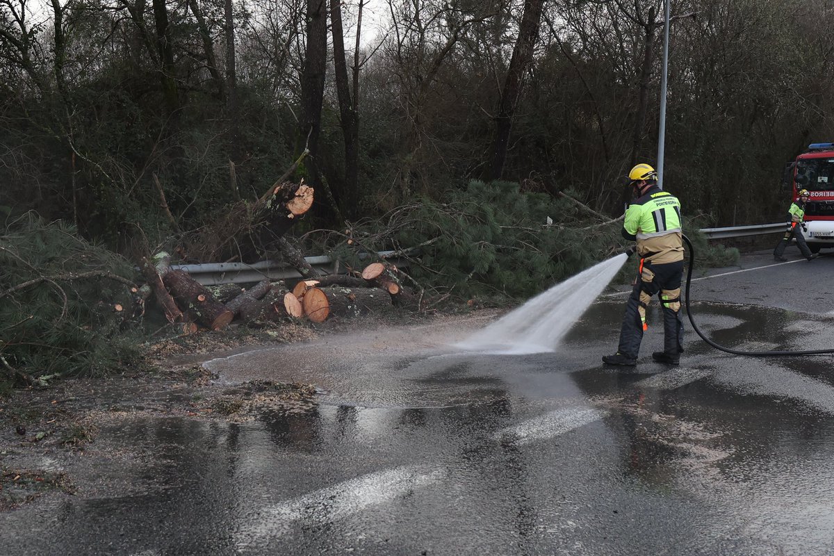 AlbertoSxenick's tweet image. Un herido en la A-55, en #OPorriño al caer un árbol sobre una furgoneta
La autovía estuvo cortada de  #Vigo sentido #Tui