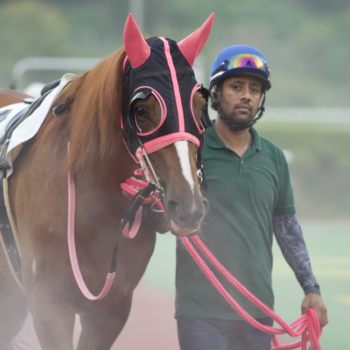 さ ゆ (@mogu0_0mogu) / Posts / X