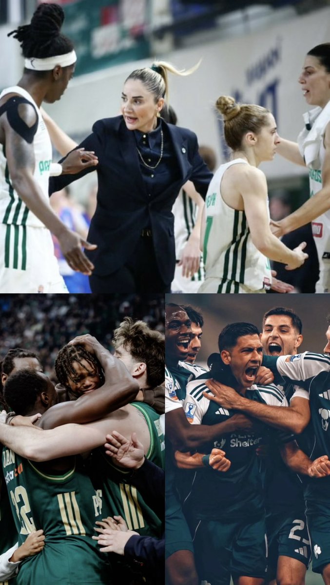 #paobc #paofc #panathinaikos #pao #panathinaikosbc #panathinaikosfc #paoac 

Εχθές μπάσκετ ανδρών 🗣️
Σήμερα ποδόσφαιρο ανδρών 🗣️
Αύριο μπάσκετ γυναικών 🗣️ 

Όσο έχω φωνή θα στο τραγουδάω
Κι ό, τι λόγια να πω θα 'ναι σ' αγαπάω
Όσο έχω φωνή θα στο τραγουδάω
ΣΑ ΓΑ ΠΑ Ω 💚☘️