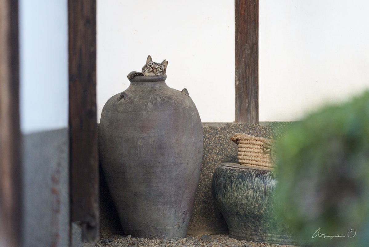 そこに壺があるから