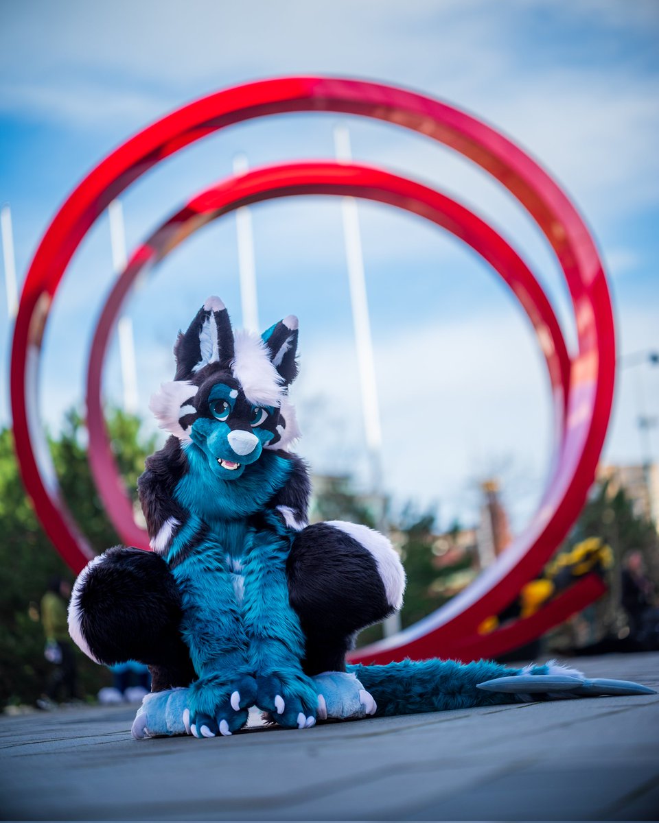 Dargo the Dragon tweet media