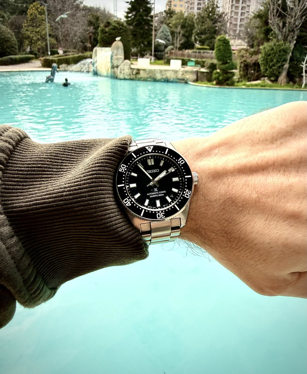 woachtung's tweet photo. Habitatında 🤿
#wristcheck #62MAS https://t.co/ag4IFGW0Xt