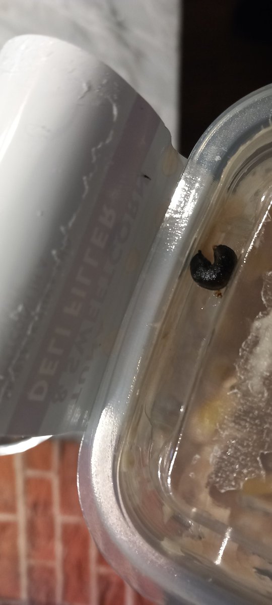 lucy lawson tweet media