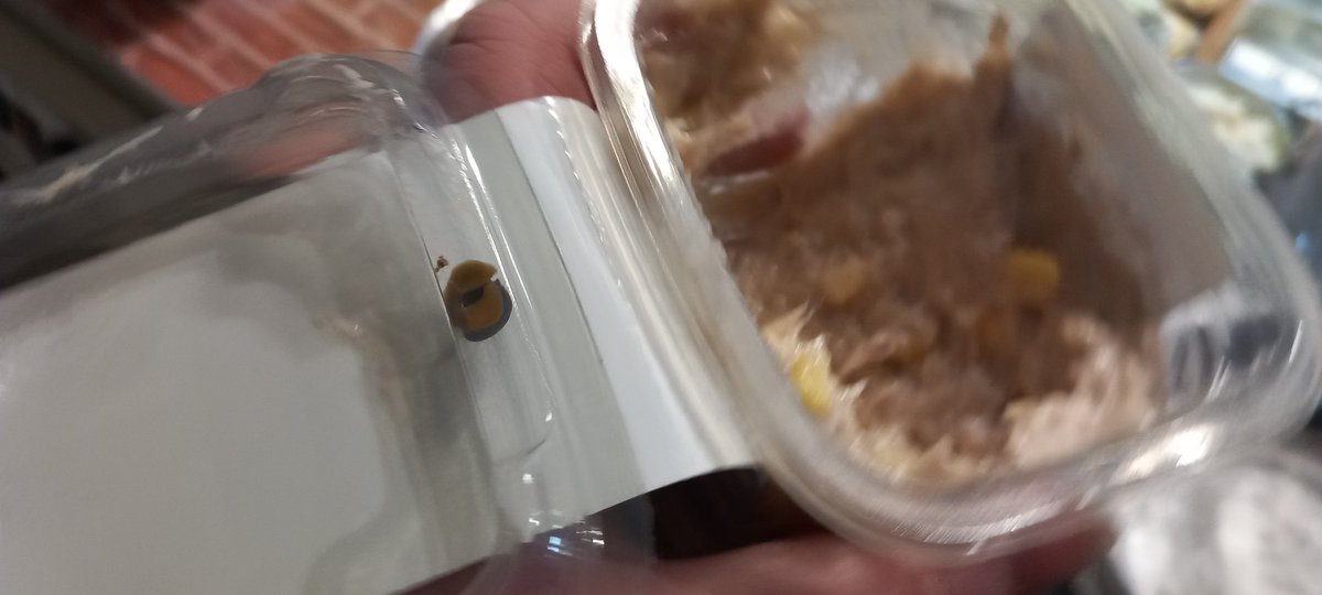 lucy lawson tweet media