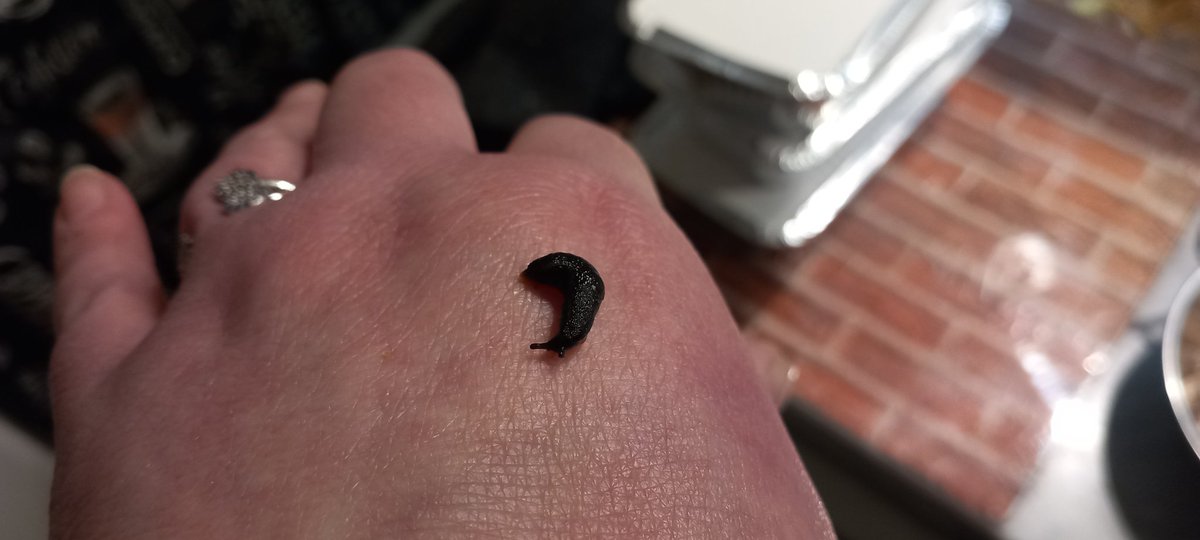 lucy lawson tweet media