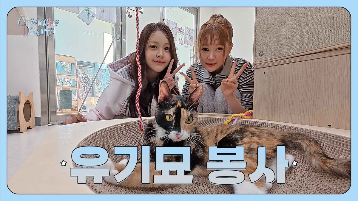 Hearts2Hearts's tweet photo. 뚱냥이ฅ부터 아이돌냥ฅ까지 고양이들 만나고 왔어요 °ʚ₍^. .^₎⟆ɞ° | Crunchy Hearts EP.13

https://t.co/CKtVDrl7Bs

#Hearts2Hearts #하츠투하츠 #H2H 
#Crunchy_Hearts #크런치하츠 https://t.co/NHWCo5XUvK