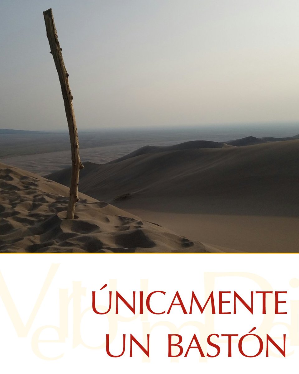 #05deFebrero ¡Buenos días! Este jueves de la IV Semana del #TiempoOrdinario compartimos el #EvangelioDeHoy según San Marcos 6, 7-13. Puedes leerlo aquí:
vaticannews.va/es/evangelio-d…