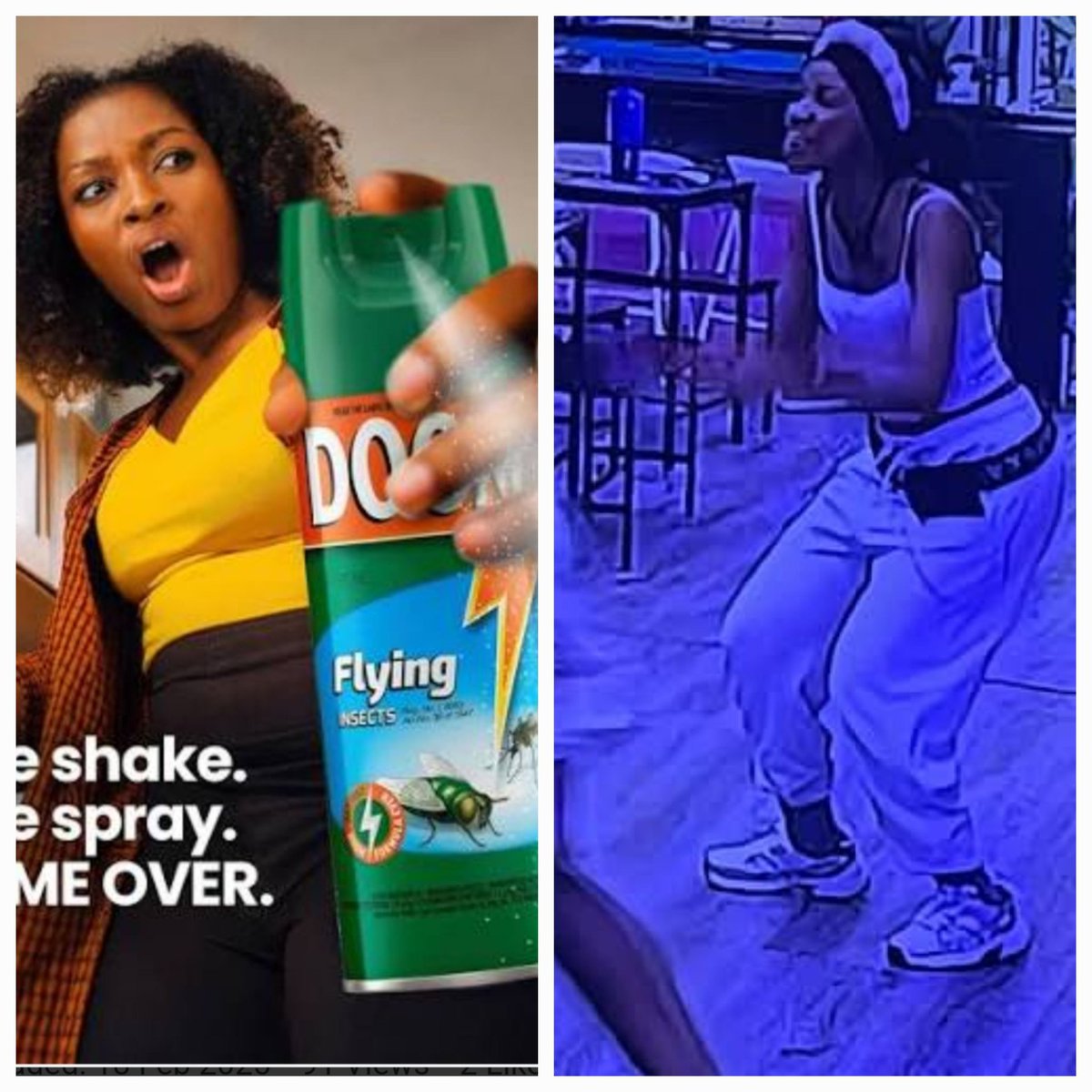 Sibs_Jesse's tweet photo. I don't fight bugs i doom them Ilano cooked ate without leaving crumbs #bbmzansi https://t.co/VjU9F1QqZ9