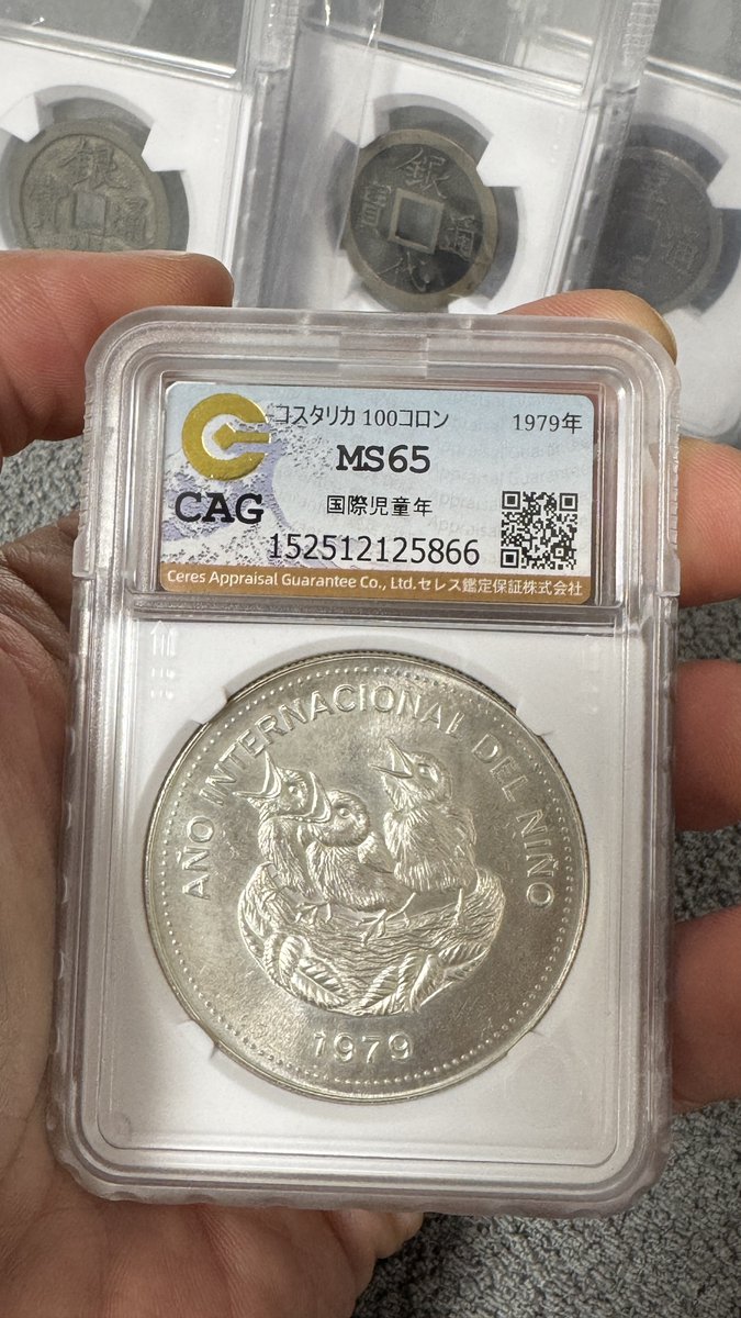 ほづみん (@YHcoinC) / Posts / X