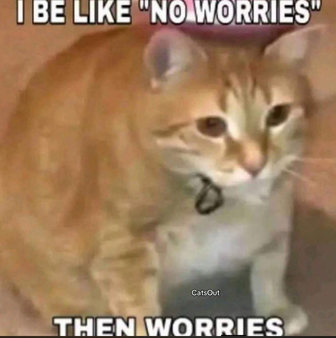 ADHDForReal's tweet image. 