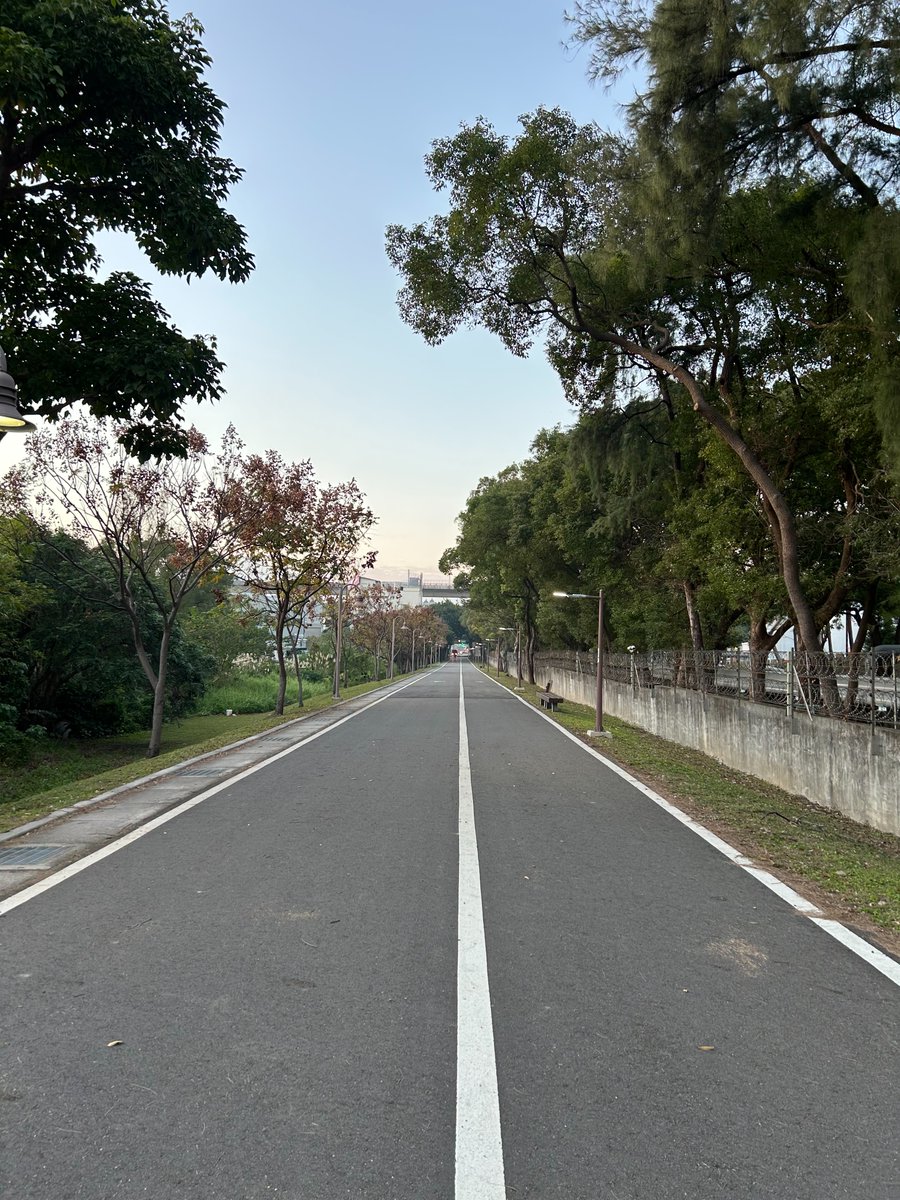 ⓧ web8 𝕏𝟙⛓️🛞 tweet media