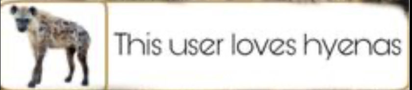 Mutt (Canis) Hound tweet media