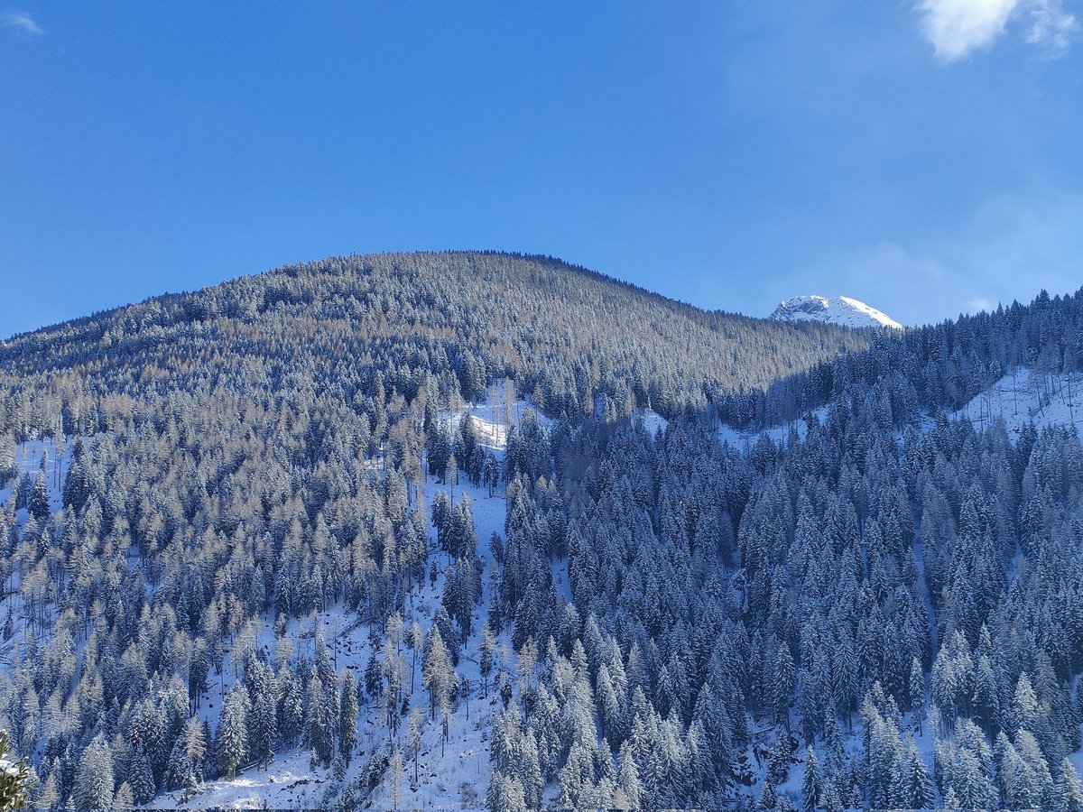 Iva Callegari tweet media