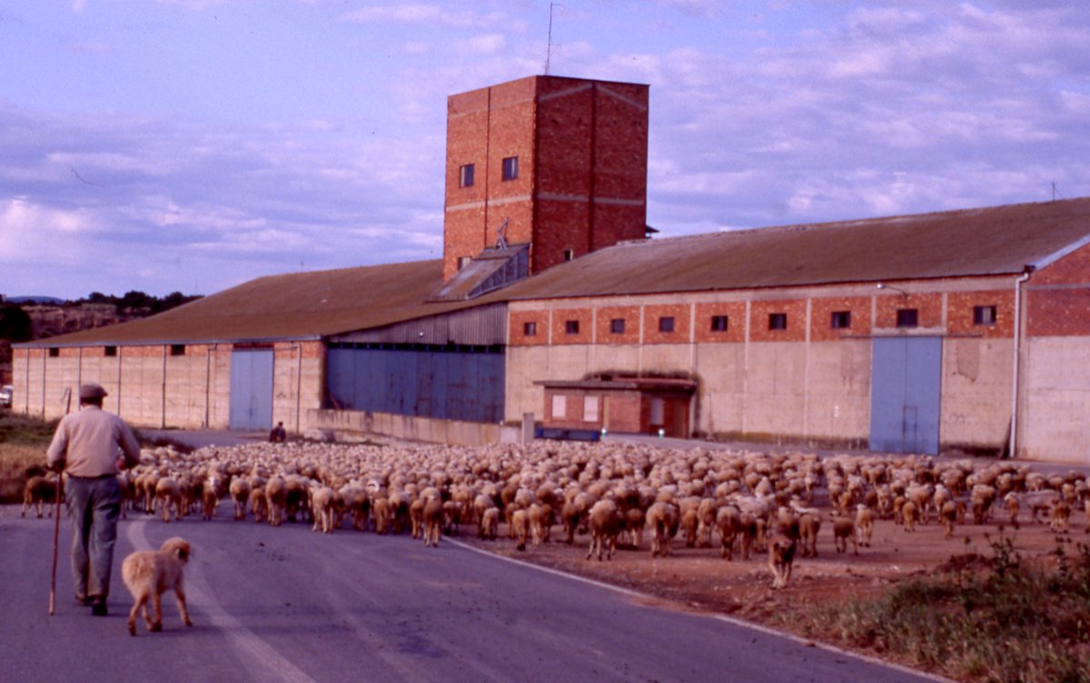 Ramon Violant i Simorra - Arxiu i documentació tweet media