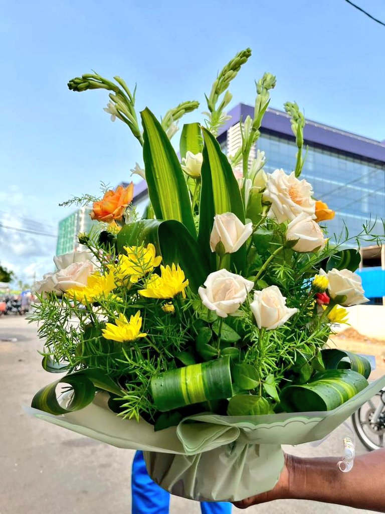 Le pétale🌹 tweet media