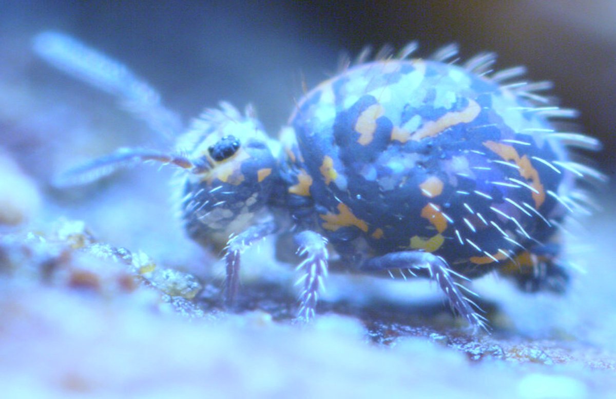 Gerrit Angst tweet media