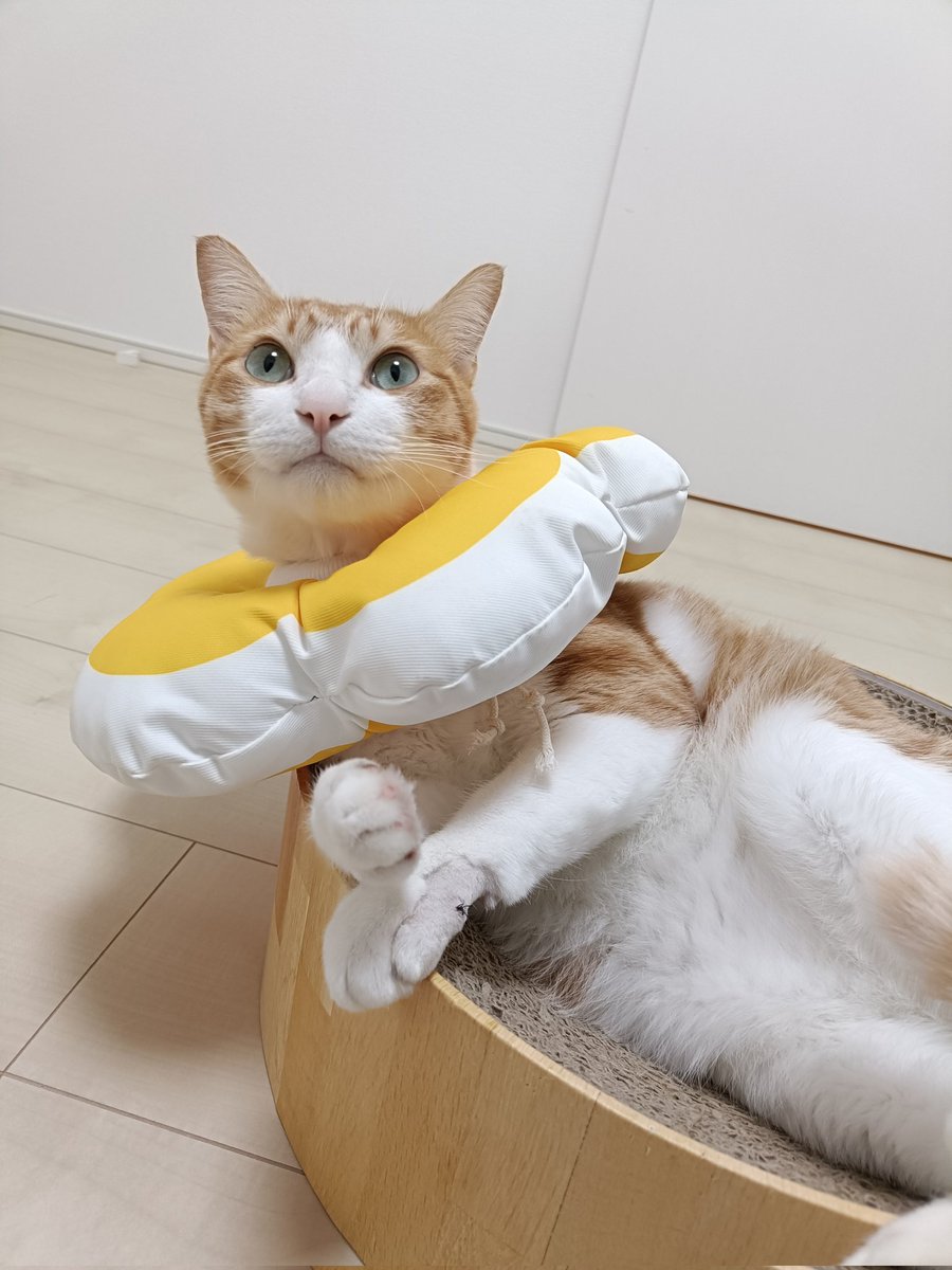 うさこ💎 (@usapi_K) / Posts / X