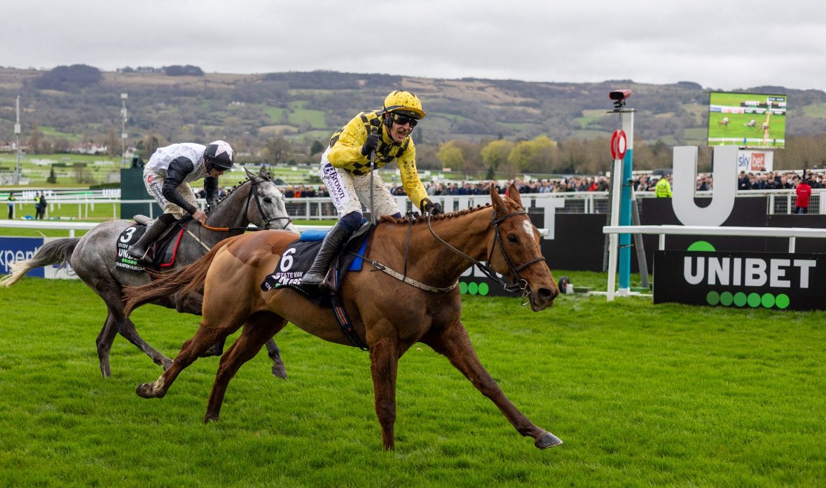 Owen🐎 tweet media