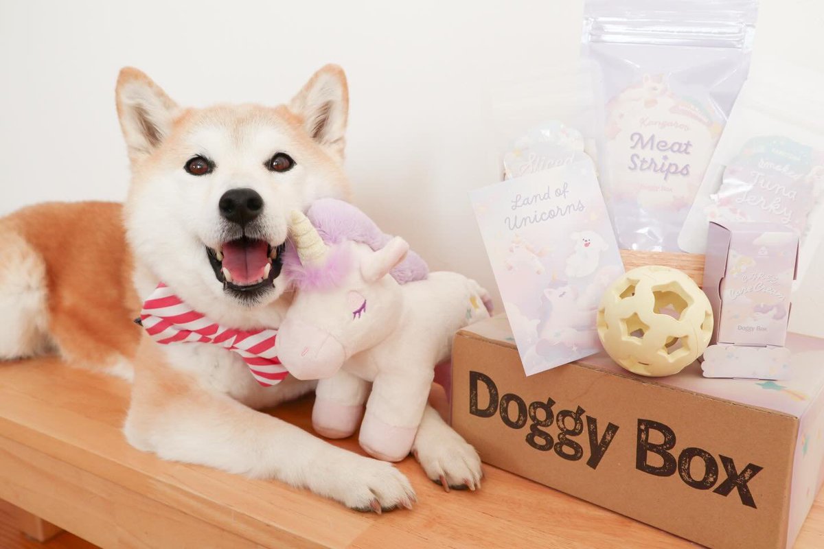 Doggy Box(ドギーボックス) (@doggybox_jp) / Posts / X
