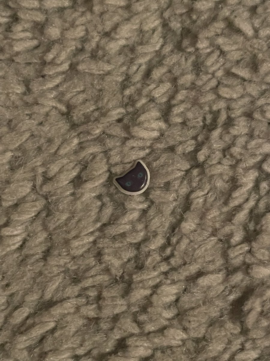 humanmeatmarket's tweet photo. vacuuming my room but always being gentle over this little cat sticker that’s stuck to the carpet https://t.co/rlKrUIkqR7