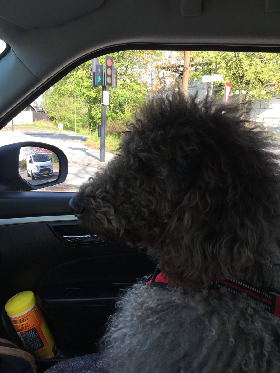 Peter Friedberg tweet media