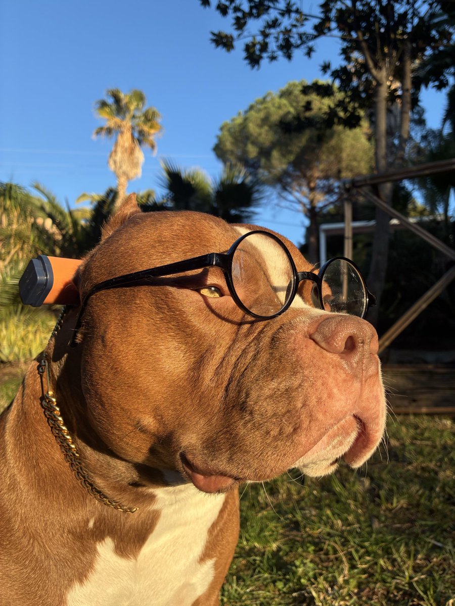 Thinking about bitches