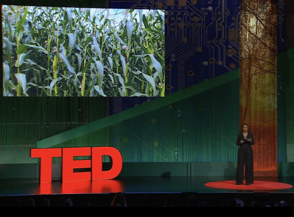 UMDResearch's tweet photo. In a new @TEDTalks, "Why Can't We Better Prepare for Extreme Weather?", Assistant Professor Catherine Nakalembe (@CLNakalembe) from College of Behavioral and Social Sciences (@bsosumd) examines why millions of people continue to face hunger despite advances in satellite technology that can detect droughts and crop failures months in advance.

Nakalembe, NASA Harvest's Africa Program director, explains how climate and agricultural data often fail to reach the communities most vulnerable to food insecurity. Drawing on her work in remote sensing, agriculture and climate science, she exposes the blind spots that prevent life-saving early warning systems from translating into real-world action.

https://t.co/VecRSE8HxM