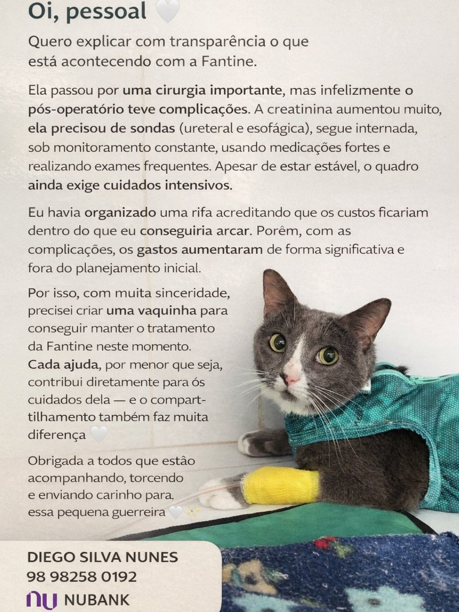aagridocee's tweet photo. teve algumas complicações e fugiram totalmente do meu orçamento financeiro. 
Fiz uma vaquinha e rifa e elas estão me ajudando demais pq até então os custos estavam sendo divididos com a minha mãe .
Quem puder compartilhar, eu agradeço !
Quem quiser acompanhar só ir no:
@ dieguinu https://t.co/hIDxGuXLdd