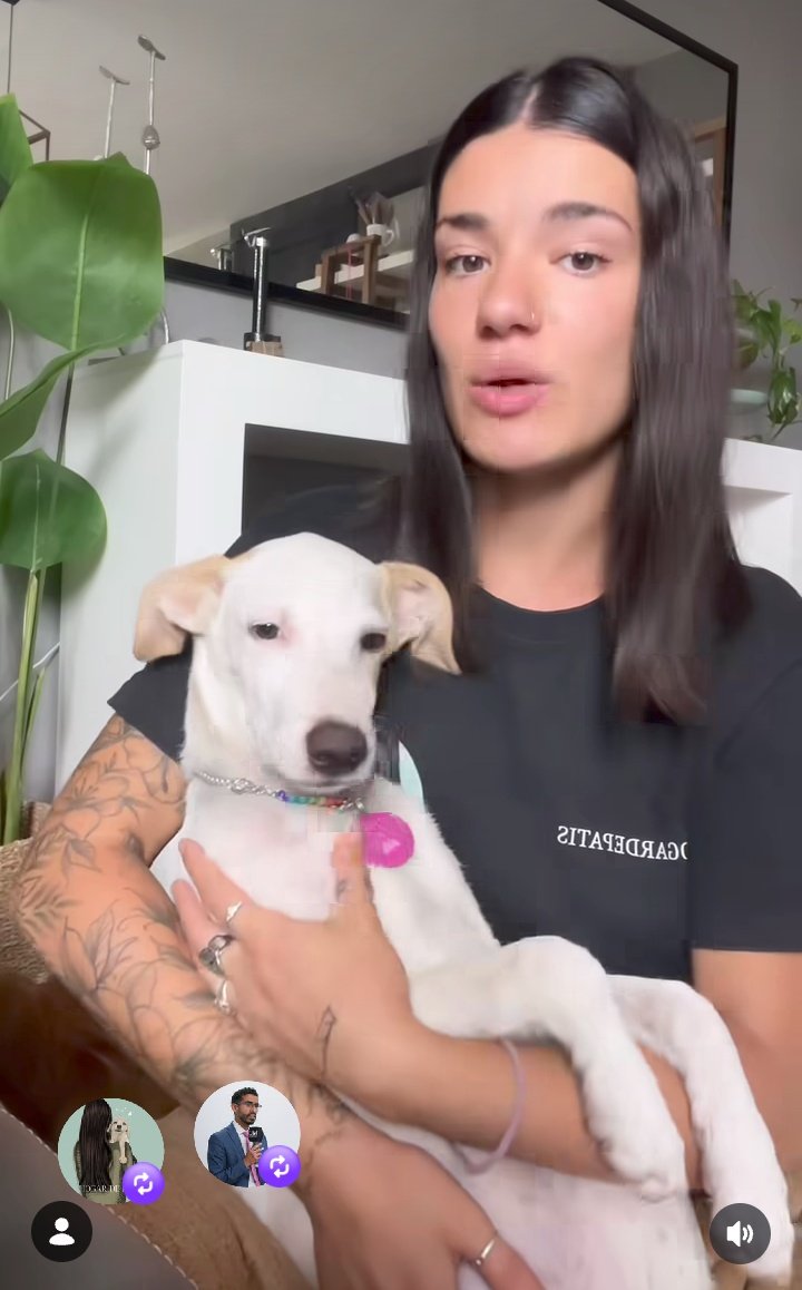 FÉNIX hoy 🐕❤️ por fin viviendo una vida normal de amor y cuidados 🙌🏻♥️
Su cuidadora cuenta que ha recibido mensajes de gente que defiende al violador o duda del caso porque no se difunde la escena explícita (que existe). Es increíble!
Los peritos determinaron que fue ultrajado.