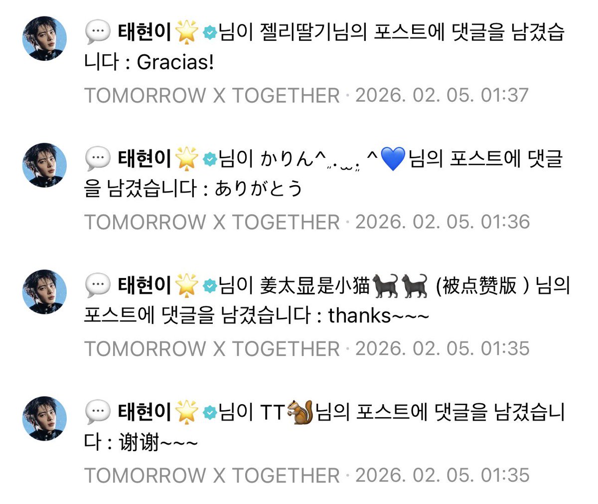 translatingTXT's tweet image. kitty is replying to birthday posts and saying ‘thank you’ in every language he knows 🥺💗

고마워ㅓㅓㅓ
감사합니다ㅏ
谢谢~~~
thanks~~~
ありがとう
gracias!