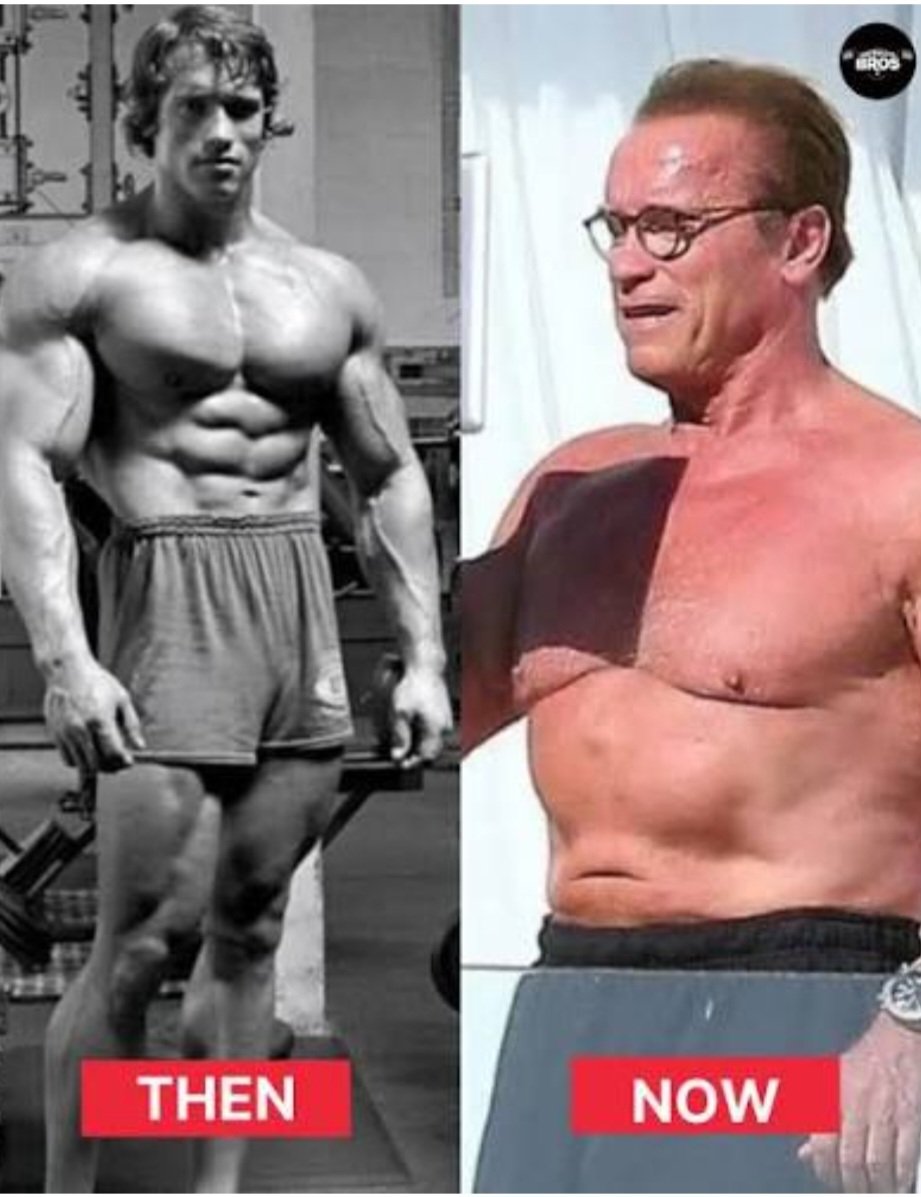 Time Trip tweet media