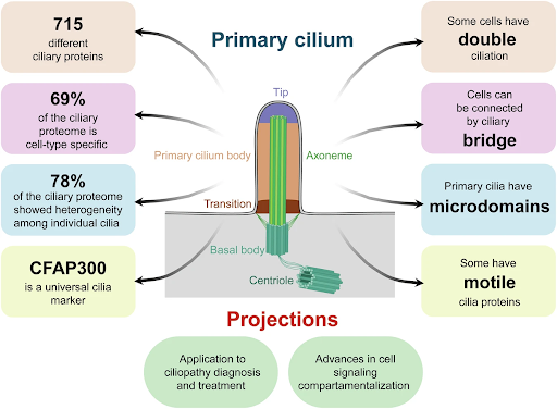 Human Protein Atlas tweet media