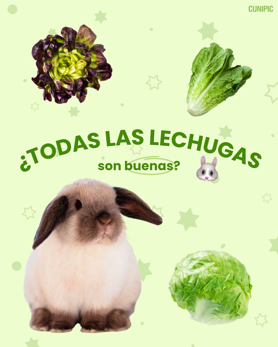 CUNIPIC l Alimentación natural para tu mascota tweet media