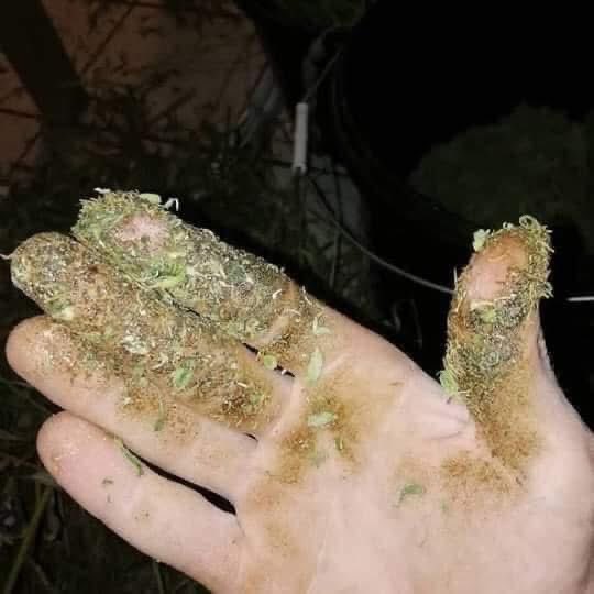 así te van a quedar los dedos después de que me los metas mi amor…