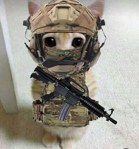 Hmmmm

Are we seeing <a href="/Bobafetador/">Boba</a> next week 

Wonders in silence 

Dear <a href="/Bobafetador/">Boba</a> the community is missing you and eagerly await your return 

Please resume soon so we won't deploy traps to capture you and bring you back 

One love,
A broken heart 

zkGR