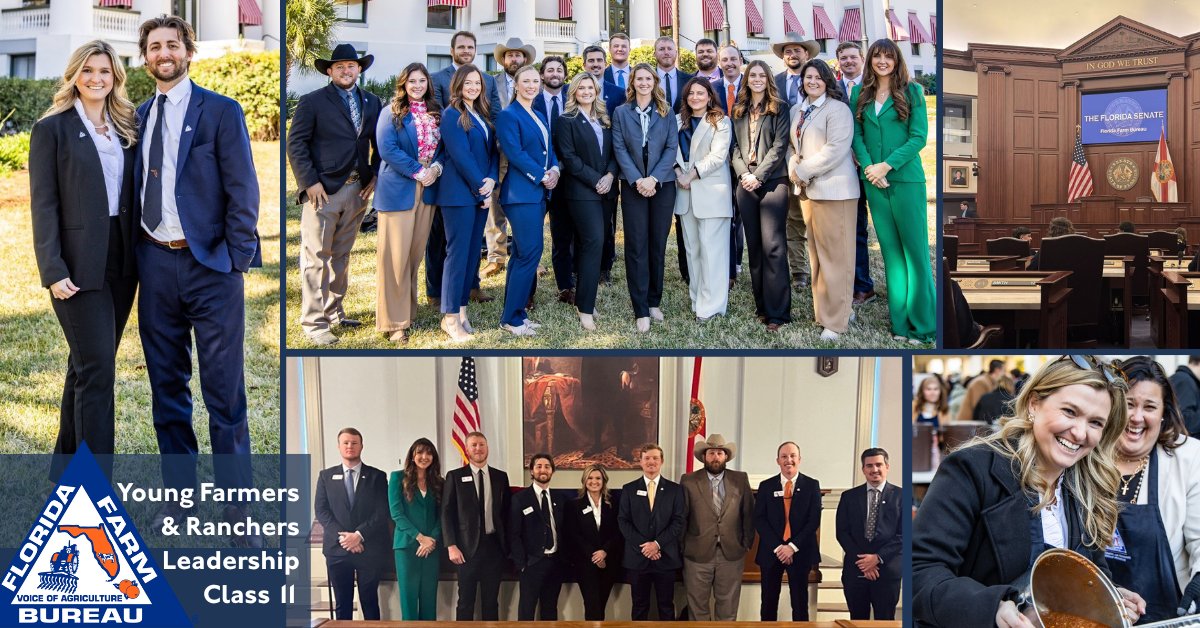 Jones Foster tweet media