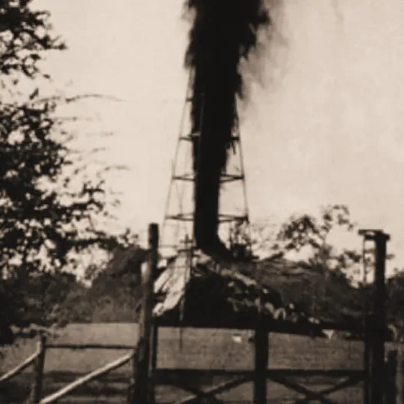 LibratumPress tweet media