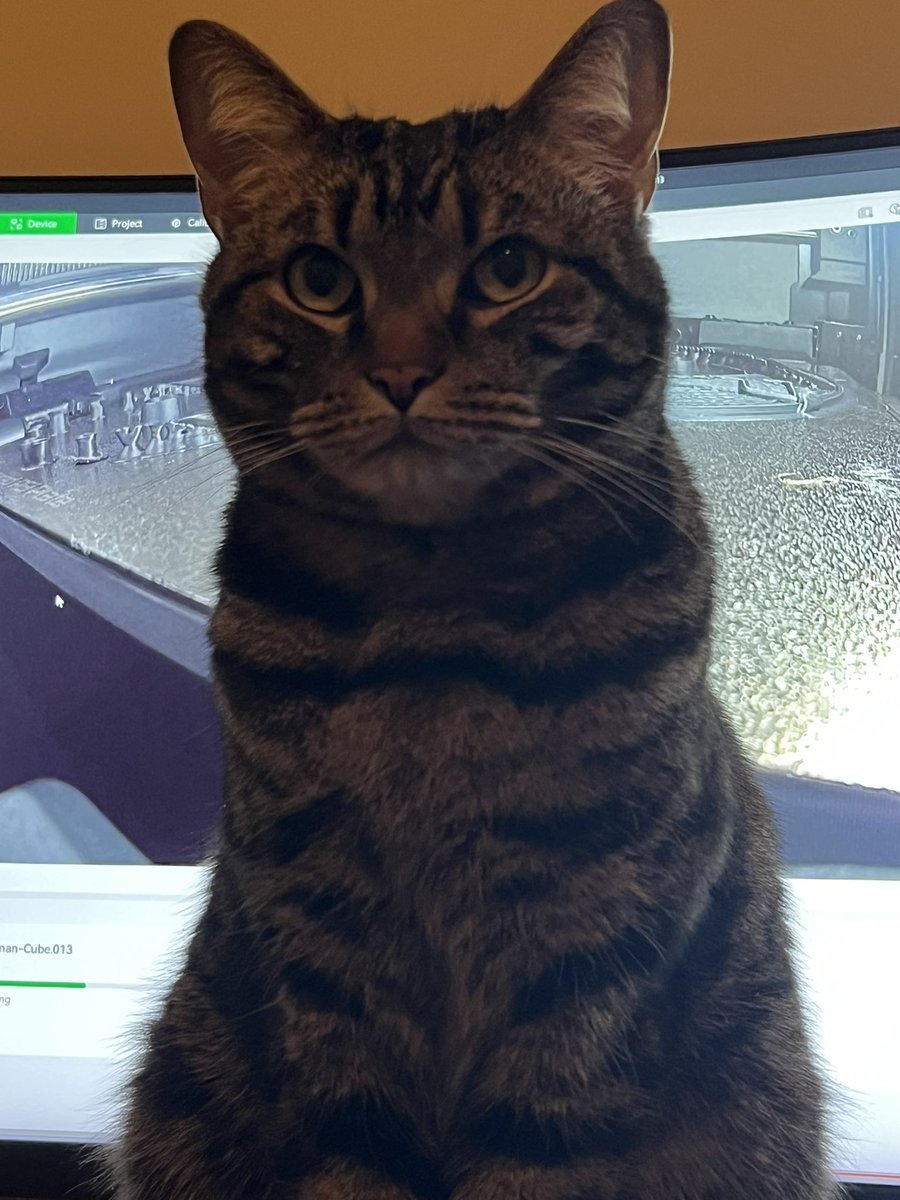 BimbusPrints's tweet photo. First Bimbus photo for X 😎 https://t.co/YmzQF9cqfJ