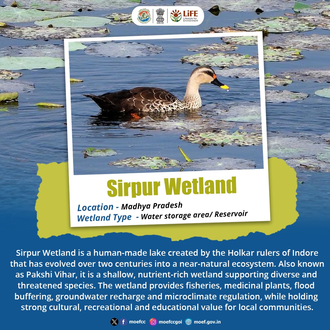 moefcc's tweet image. Sirpur Wetland, also known as Pakshi Vihar is a Ramsar Site providing fisheries, flood buffering, groundwater recharge and microclimate regulation.

#Wetlands #Ramsar