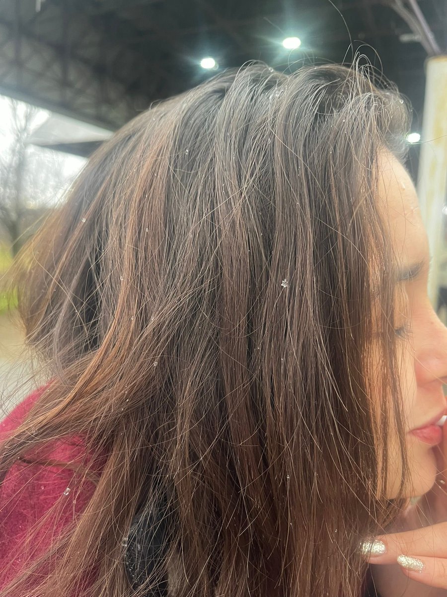 yuceamaterasu's tweet image. Saçlarımda kar taneleri
Fotoğrafı çekense sevgilim