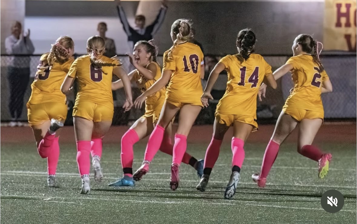 WHSLadyWildcats's tweet photo. Happy National Girls and Women in Sports Day! Shout out to the student-athletes past and present who continue to push the narrative and level of their sports forward!
#Catson3 https://t.co/KNO2ufH2Tj