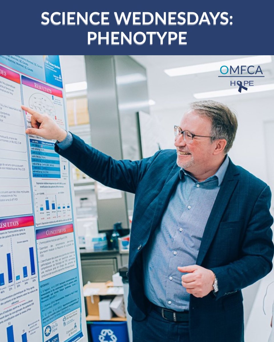 A #phenotype is an observable characteristic (e.g., physical trait, presence of disease), and it is determined by the interaction of a person’s #genotype (genetic makeup) and their environment. 

Learn more about phenotype:  omf.ngo/phenotype/