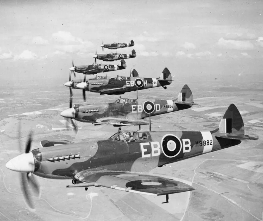 LibratumPress tweet media