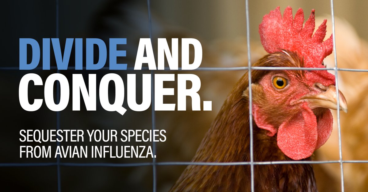 Defend the Flock tweet media