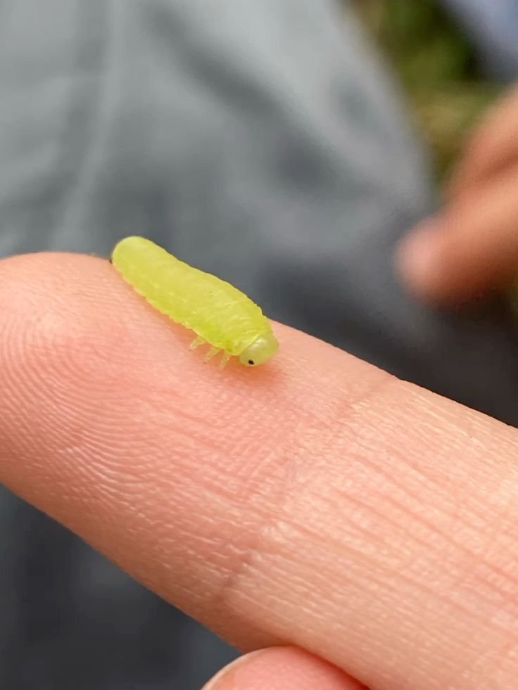 La vie est belle (@lavieestbelie) on Twitter photo 