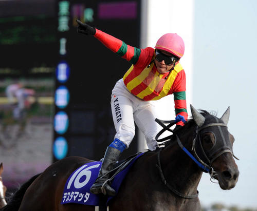 思い出のフェブラリーSと言えば、やっぱり2012年のテスタマッタと岩田