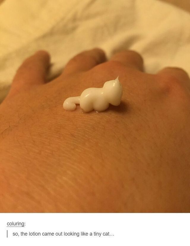 Internet Slop (@gimmickslop) on Twitter photo 