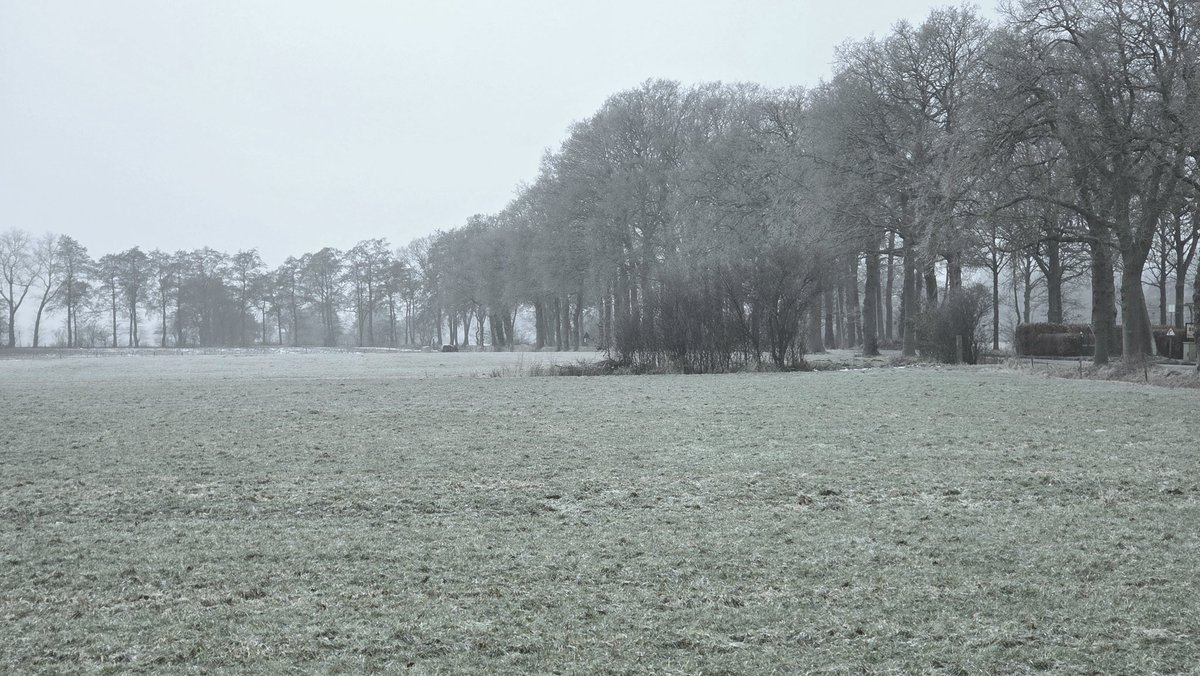 Wiendeld Visser tweet media