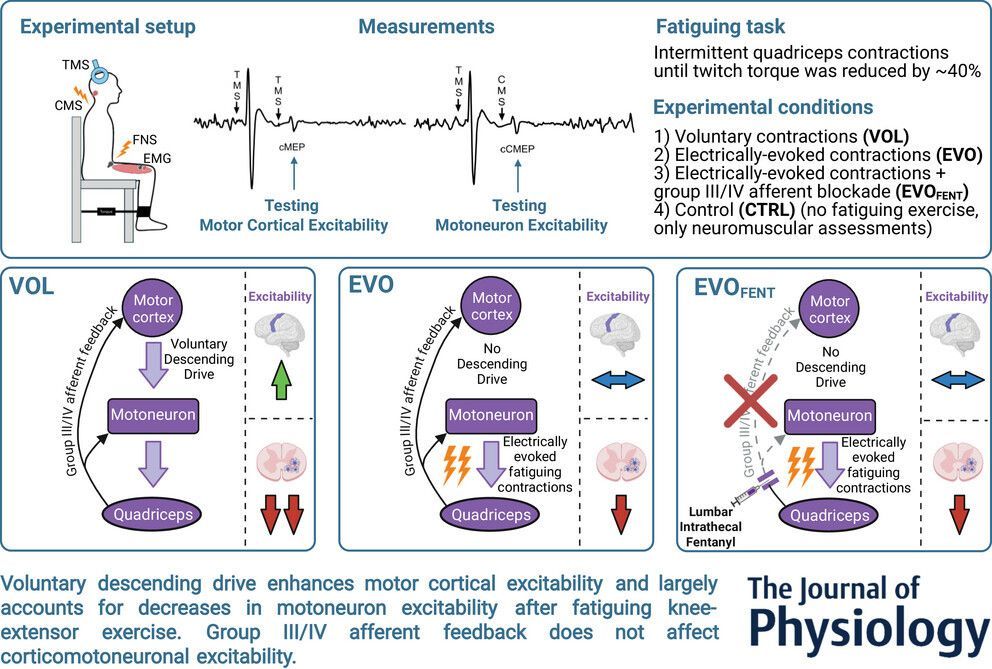 Journal of Physiology tweet media
